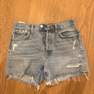 Agolde Size 24 shorts